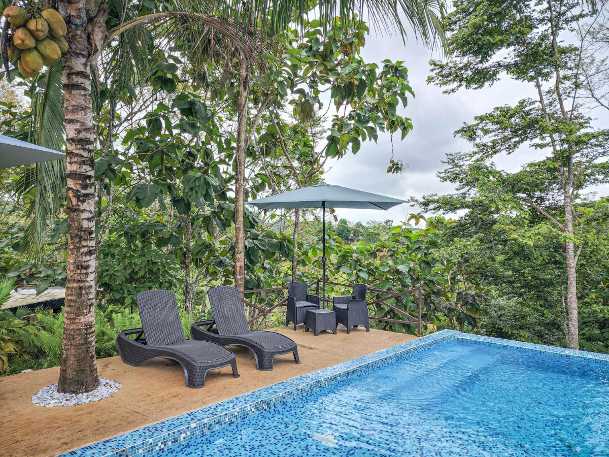 Hotel Madeira Boutique Doradal ภายนอก รูปภาพ